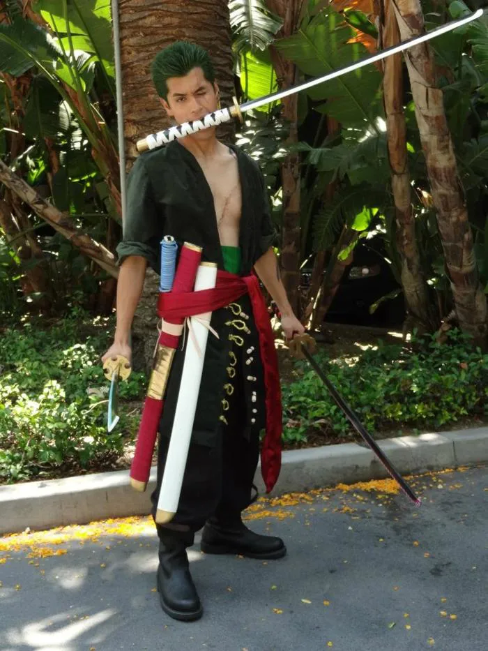 Roronoa Zoro Wano Style 2 Cosplay Costume - Cosplay – MAOKEI