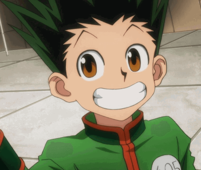 Myers-Briggs Types in Hunter X Hunter: Gon Freecss (ESFJ) - Practical Typing