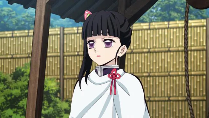 Demon Slayer: Kimetsu no Yaiba