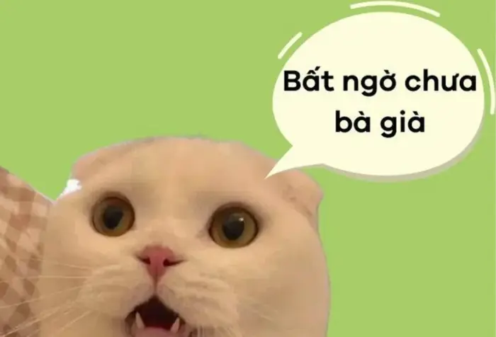 Meme bất ngờ là gì? Tổng hợp meme bất ngờ hài hước, ấn tượng và thú vị Meme bất ngờ là gì? Tổng hợp meme bất ngờ hài hước, ấn tượng và thú vị