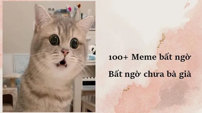 100+ Meme bất ngờ - Bất ngờ chưa bà già, Pikachu mất ngờ 100+ Meme bất ngờ - Bất ngờ chưa bà già, Pikachu mất ngờ