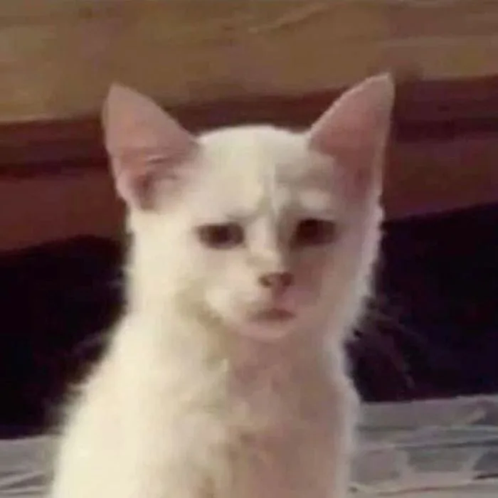 Bộ sưu tập 143 meme ngờ vực hài hước và đầy biểu cảm hình ảnh đẹp ấn tượng - hinhanhdep3d.com Bộ sưu tập 143 meme ngờ vực hài hước và đầy biểu cảm hình ảnh đẹp ấn tượng - hinhanhdep3d.com