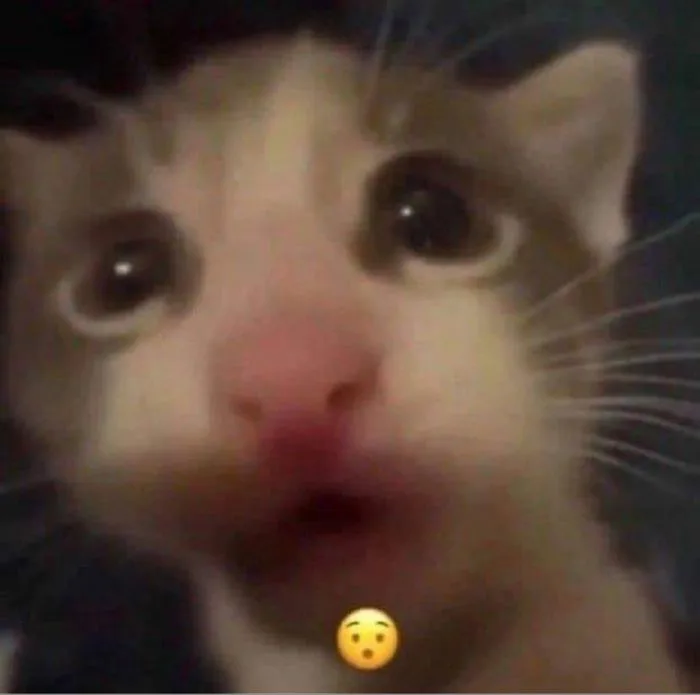 Tổng hợp meme bất ngờ hài hước, biểu cảm thú vị Tổng hợp meme bất ngờ hài hước, biểu cảm thú vị