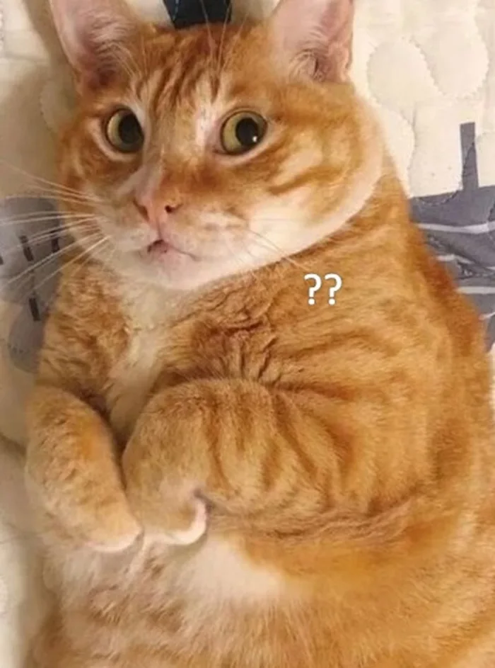 Bộ sưu tập các ảnh meme bất ngờ ấn tượng, thú vị và hài hước Bộ sưu tập các ảnh meme bất ngờ ấn tượng, thú vị và hài hước