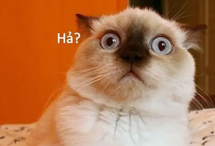 Meme bất ngờ là gì? Tổng hợp meme bất ngờ hài hước, ấn tượng và thú vị Meme bất ngờ là gì? Tổng hợp meme bất ngờ hài hước, ấn tượng và thú vị
