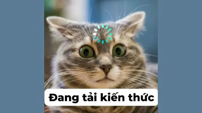 100+ ảnh Meme hài hước, hài bựa, hài cute ấn tượng nhất 100+ ảnh Meme hài hước, hài bựa, hài cute ấn tượng nhất