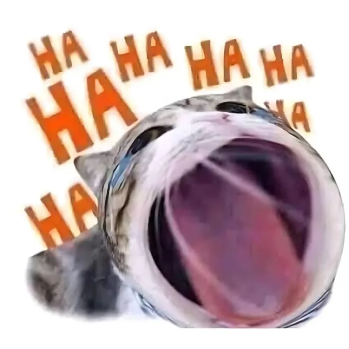 500+ meme mèo bựa, cute, khóc cười siêu vô tri hài hước cho các sen 500+ meme mèo bựa, cute, khóc cười siêu vô tri hài hước cho các sen