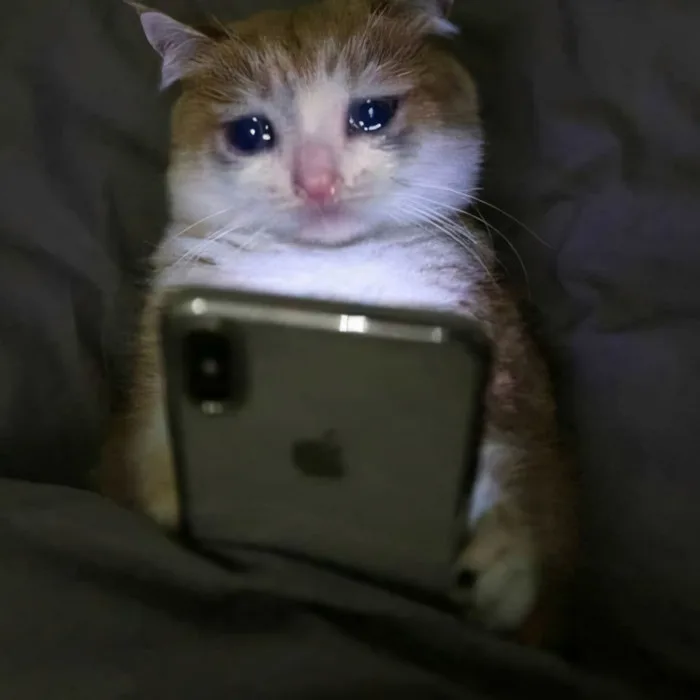 99.000+ Ảnh Meme Buồn 😿🐾💧, Mèo Buồn, Chảy Nước Mắt, Hài Hước, Cute 99.000+ Ảnh Meme Buồn 😿🐾💧, Mèo Buồn, Chảy Nước Mắt, Hài Hước, Cute