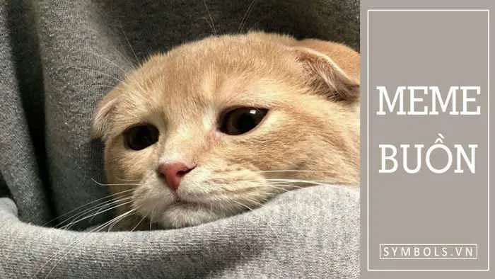 Meme Buồn Khóc, Tâm Trạng, Buồn Bã Sâu Sắc [Siêu Cute]