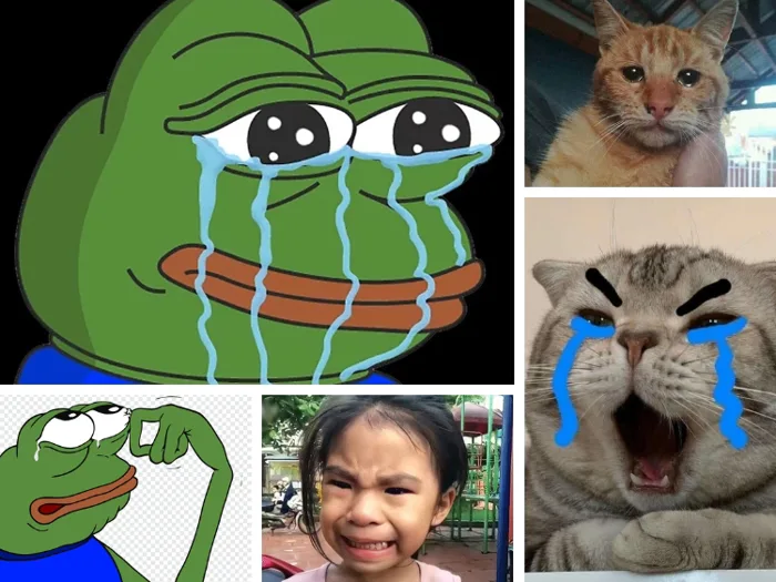 Lưu ngay TOP 99+ meme buồn THẤU TÂM CAN | Yody Lưu ngay TOP 99+ meme buồn THẤU TÂM CAN | Yody