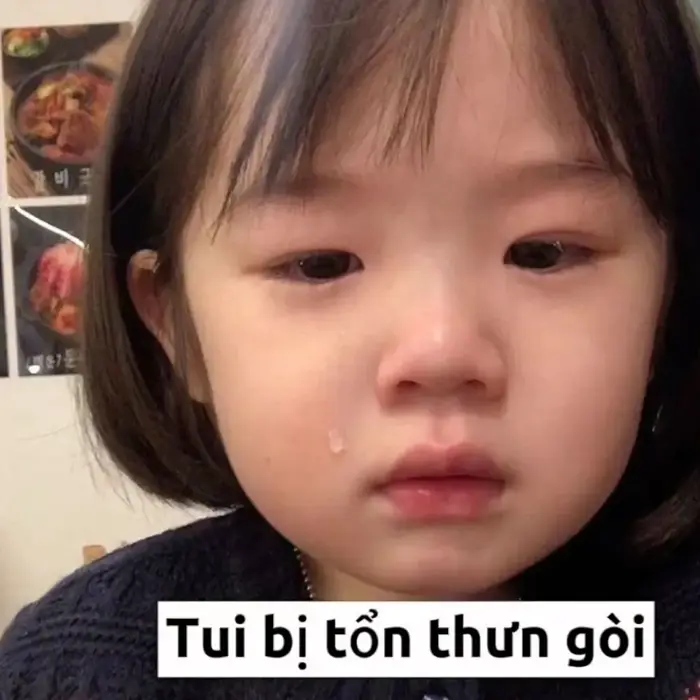 3.281+ Ảnh Meme Khóc Buồn Khóc Cười Hài Hước Slay Cực Yêu 3.281+ Ảnh Meme Khóc Buồn Khóc Cười Hài Hước Slay Cực Yêu