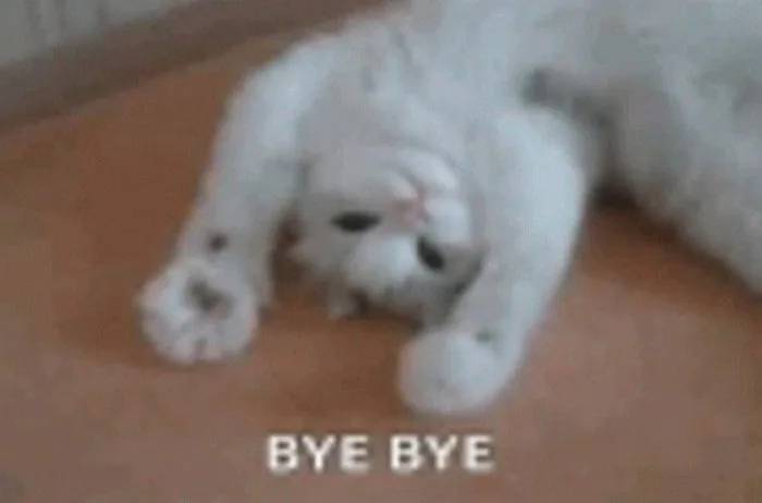 Meme Mèo Bye, Mèo Ho Meme Cute [Meme Mèo Chống Nạnh]