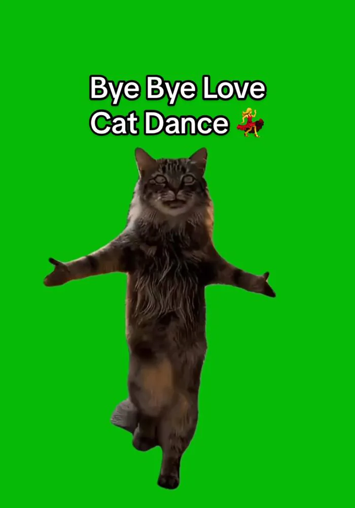Bye bye #duongfg | TikTok