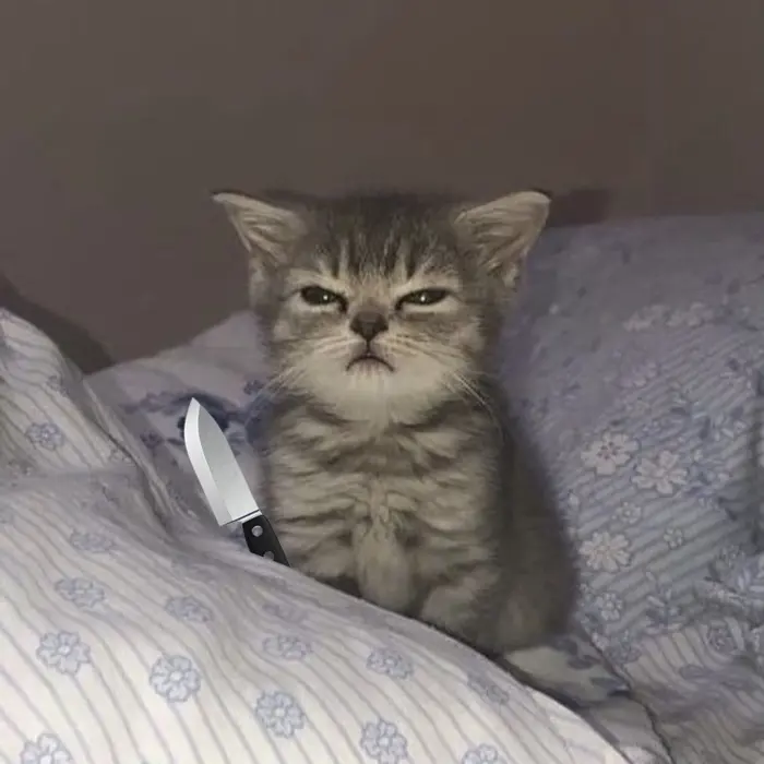 Tổng hợp ảnh meme cầm dao vui nhộn khiến bạn bật cười