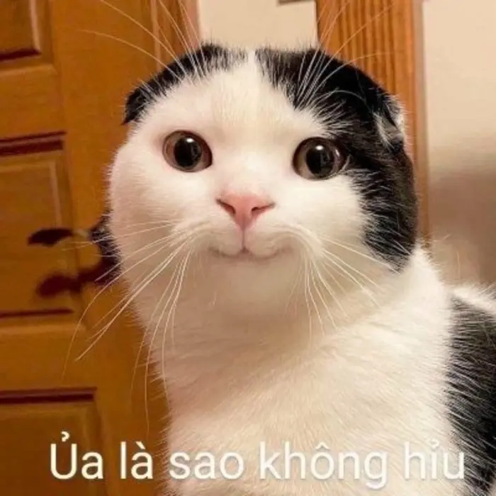 Tổng hợp ảnh meme chế hài hước nhất khiến bạn cười xỉu Tổng hợp ảnh meme chế hài hước nhất khiến bạn cười xỉu