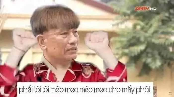 Ảnh chế Meme Ảnh chế Meme