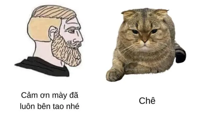 Meme chê: Tổng hợp +30 meme chê cực gắt Meme chê: Tổng hợp +30 meme chê cực gắt