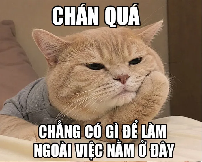 168+ Meme Chán Chán Đời Chán Nản ảnh chế siêu hài 168+ Meme Chán Chán Đời Chán Nản ảnh chế siêu hài
