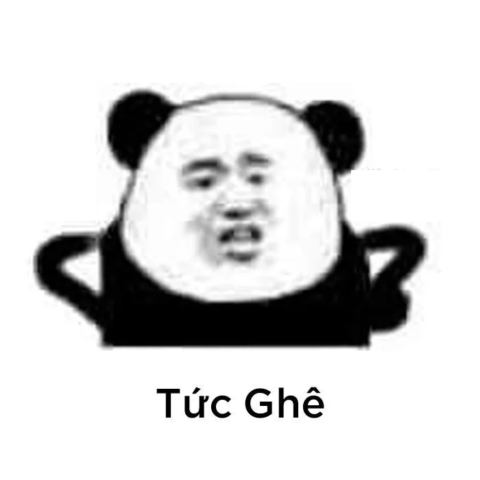 Khám phá 180 ý tưởng Meme và ảnh hài hước nhất | ảnh hài hước, ảnh vui  nhộn, vui nhộn và các ý tưởng khác