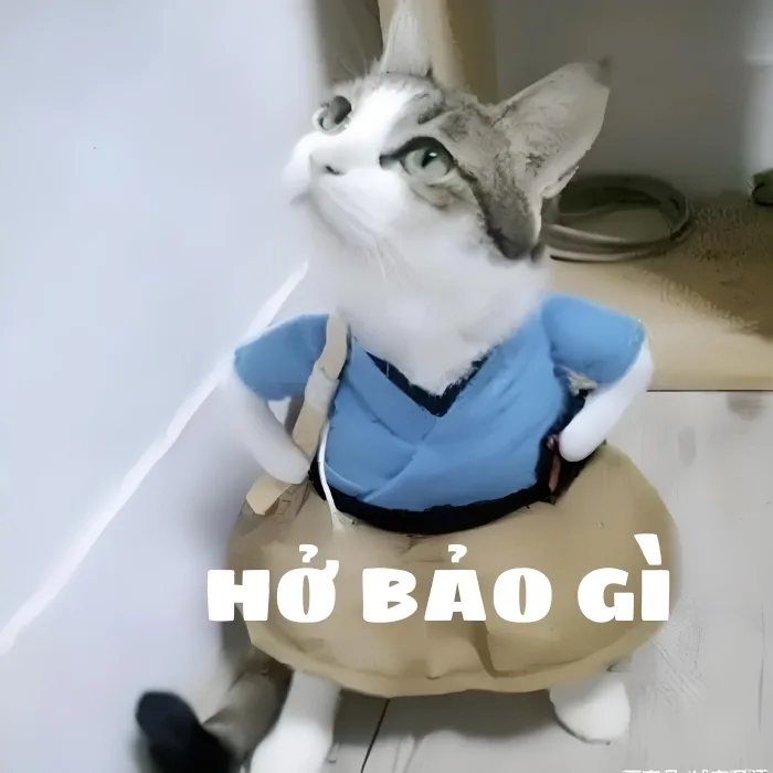 Tổng Hợp 120+ Meme Chống Nạnh “Gắt Nhẹ” Cực Viral 2026