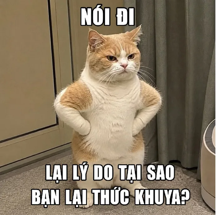 175+ Meme Chống Nạnh thất vọng chán đời cười đau ruột
