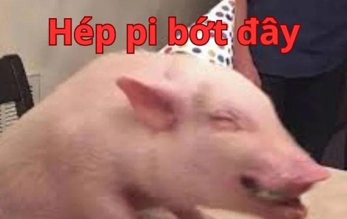Bộ Sưu Tập 99+ Meme Chúc Mừng Sinh Nhật Dễ Thương, Hóm Hỉnh