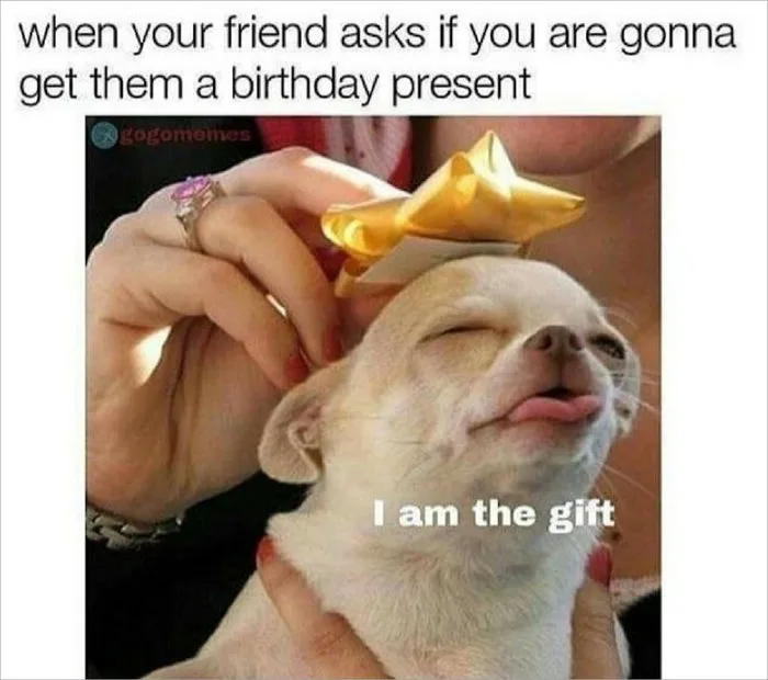 Tổng hợp meme chúc mừng sinh nhật hài hước, vui nhộn, lầy lội
