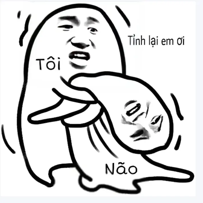 Tổng hợp ảnh meme chửi hài hước khiến bạn cười té ghế