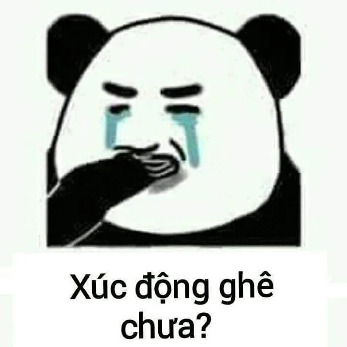 Meme chửi tục hài | Chuyện vui nhộn, Hoạt hình vui nhộn, Meme gấu trúc bựa