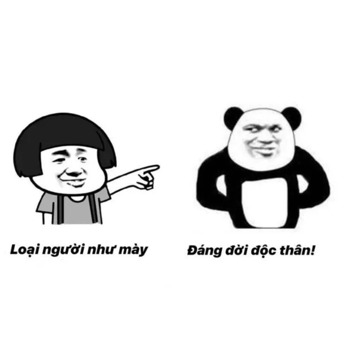 Bộ sưu tập meme chửi gây cười nhất mọi thời đại mà bạn không nên bỏ qua