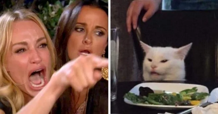 Bộ sưu tập meme chửi gây cười nhất mọi thời đại mà bạn không nên bỏ qua