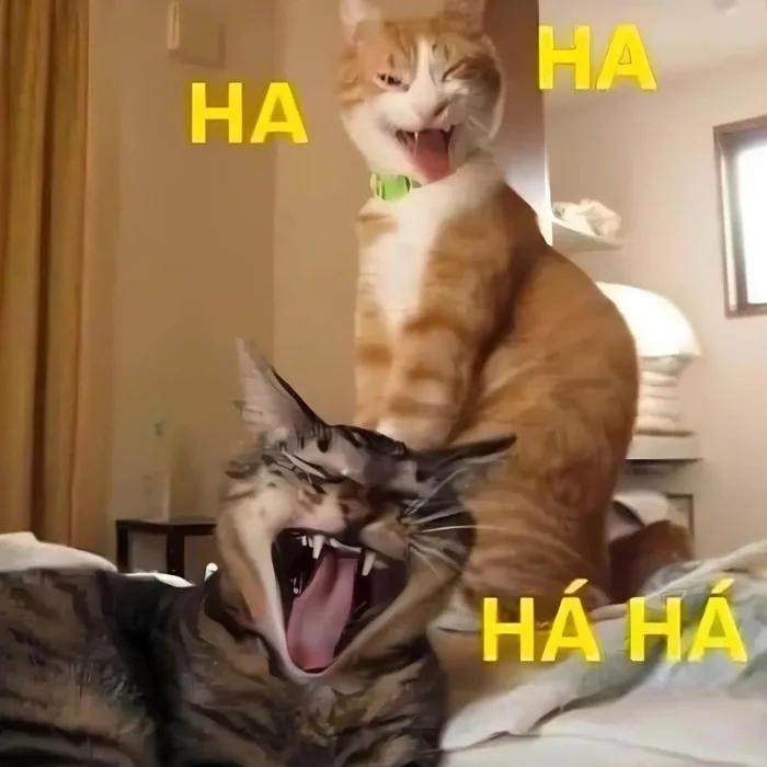 99+ meme mèo cười đểu, haha, nhếch mép, chỉ tay nham hiểm - JBAGY