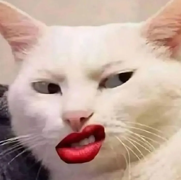 Tổng Hợp Meme Cười Đểu Hài Hước, Hay Sử Dụng Nhất