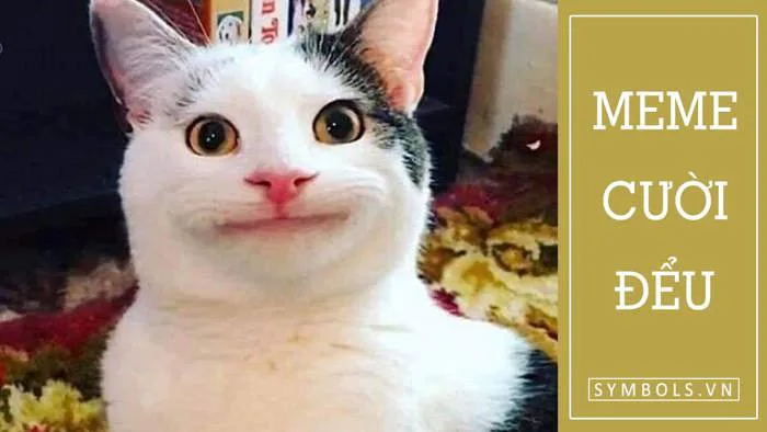 Meme Cười Đểu, Cười Khóc, Cười Nhếch Mép [Cười Nhe Răng]