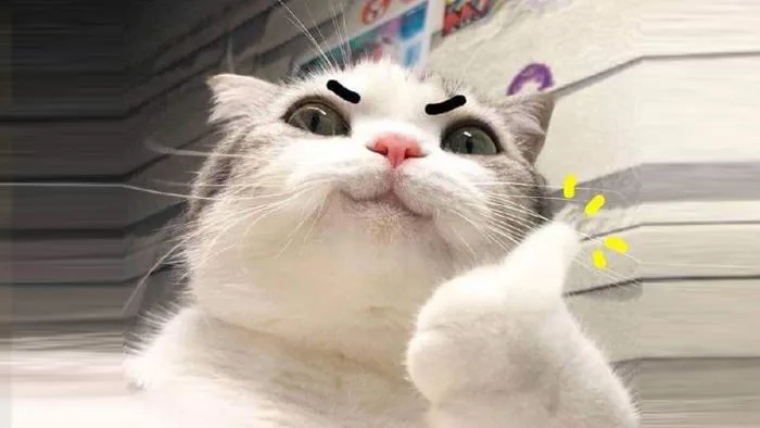 Dark meme là gì? Tốt hay xấu? Sử dụng sao cho đúng? Dark meme là gì? Tốt hay xấu? Sử dụng sao cho đúng?