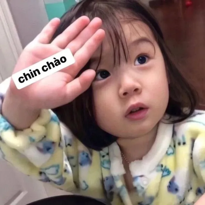 Tải ngay 99+ meme xin chào cực cute, dễ thương, hài hước