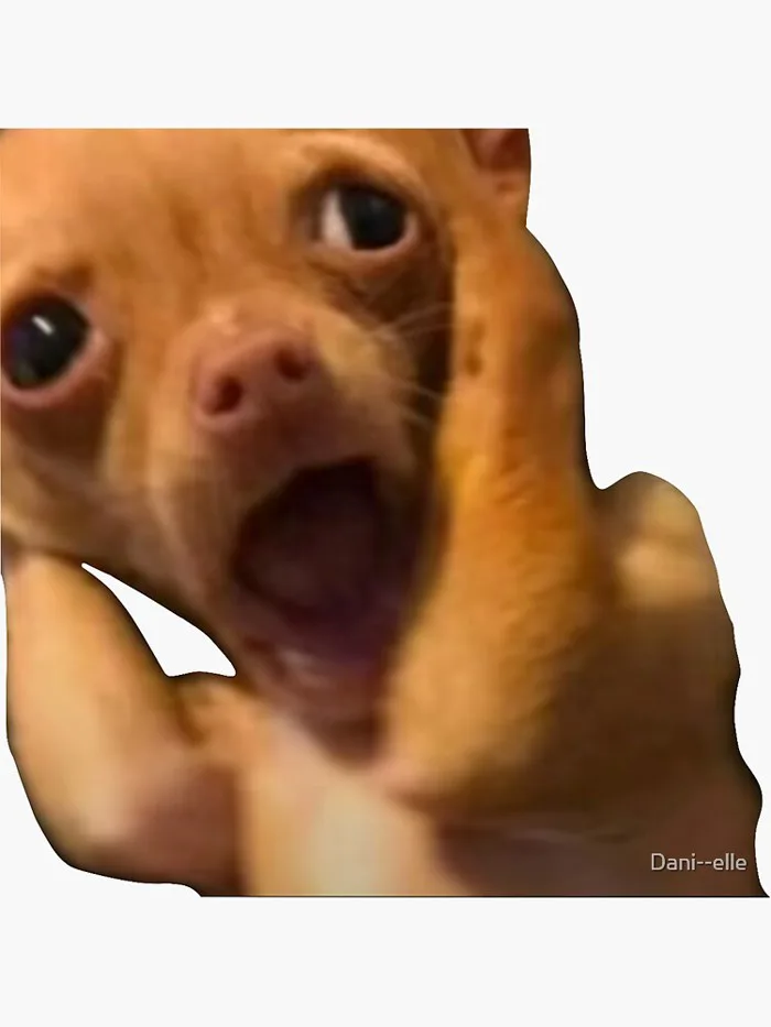 dog meme scared Sticker dog meme scared Sticker
