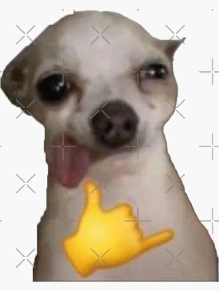 dog meme Sticker dog meme Sticker