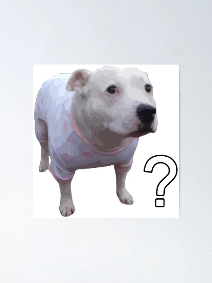 Huh Dog Meme Poster Huh Dog Meme Poster