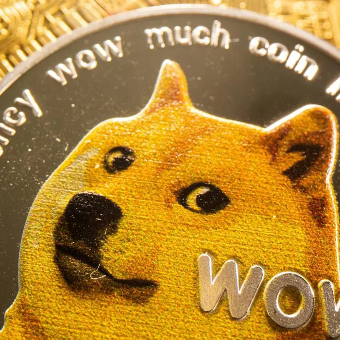 Kabosu, dog that inspired 'Doge' meme and became face of Dogecoin, dies | Dogs | The Guardian Kabosu, dog that inspired 'Doge' meme and became face of Dogecoin, dies | Dogs | The Guardian