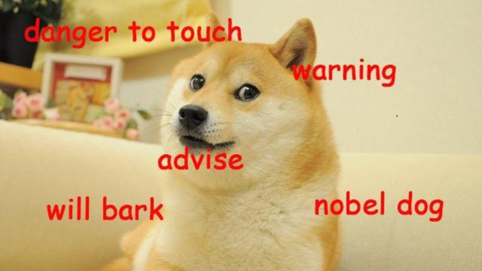 Dog from the 'Doge' meme and the face of Dogecoin dies Dog from the 'Doge' meme and the face of Dogecoin dies