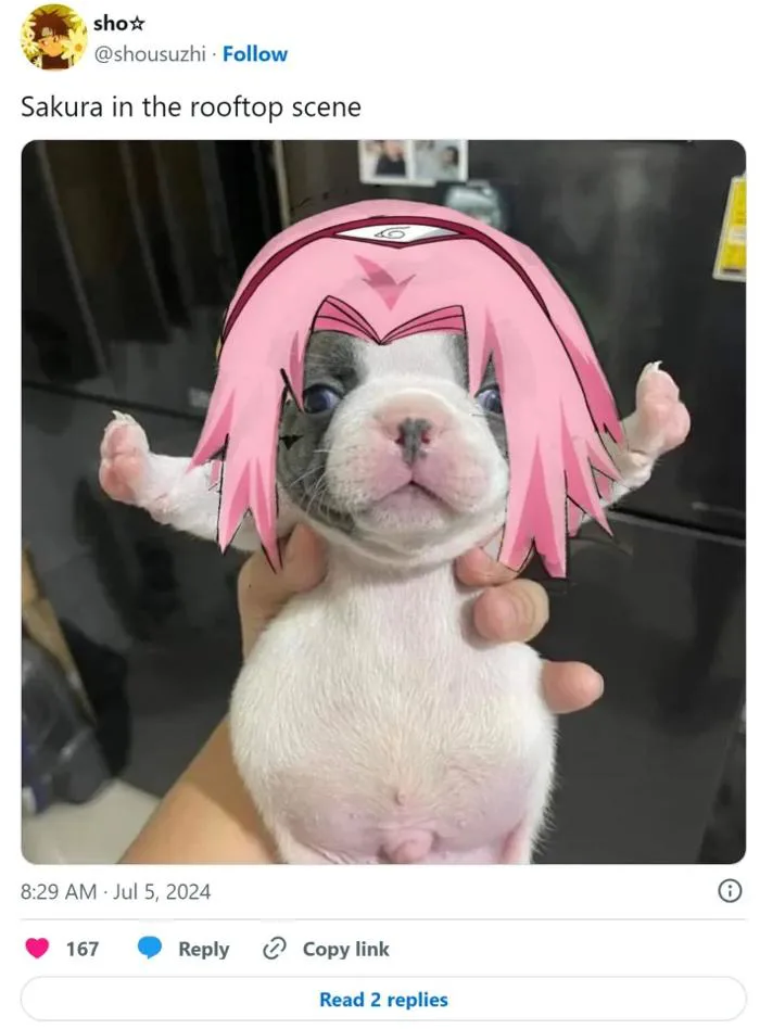 Stop Fighting Dog Meme: The Enduring Appeal Of T-Pose Puppy Stop Fighting Dog Meme: The Enduring Appeal Of T-Pose Puppy