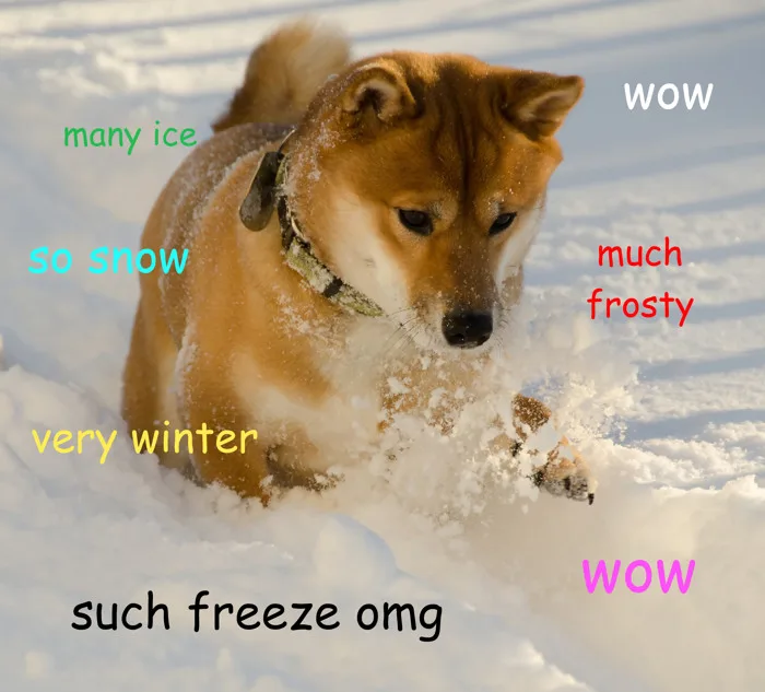 Doge (meme) - Wikipedia Doge (meme) - Wikipedia