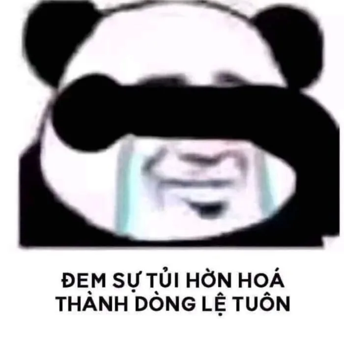 Tuyển tập 99+ hình gấu trúc meme cực hài, bá đạo và hóm hỉnh | Yody Tuyển tập 99+ hình gấu trúc meme cực hài, bá đạo và hóm hỉnh | Yody