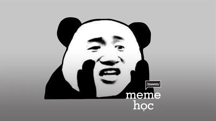 Ở đây chúng tôi có meme gấu trúc | Vietcetera Ở đây chúng tôi có meme gấu trúc | Vietcetera