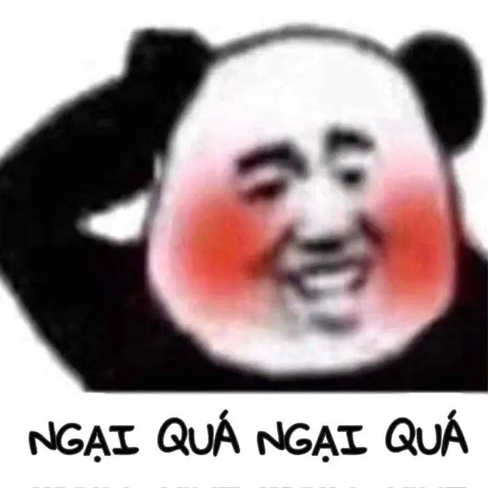 Tổng hợp ảnh meme gấu bá đạo khiến bạn bật cười không ngớt Tổng hợp ảnh meme gấu bá đạo khiến bạn bật cười không ngớt
