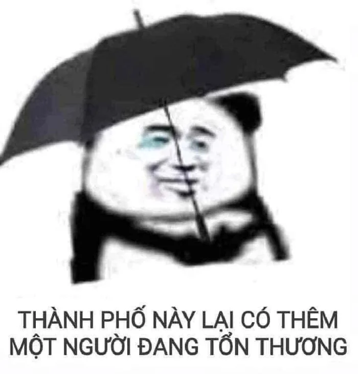 Full) Meme gấu trúc Weibo bựa hài hước, khóc, troll face | Xì trum, Viết tiểu thuyết, Chuyện tào lao Full) Meme gấu trúc Weibo bựa hài hước, khóc, troll face | Xì trum, Viết tiểu thuyết, Chuyện tào lao