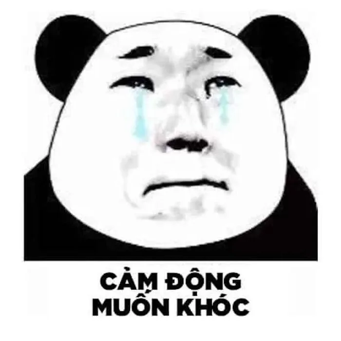 Tổng Hợp 100+ Meme Gấu Trúc Hài Hước, Hóm Hỉnh 2026 Tổng Hợp 100+ Meme Gấu Trúc Hài Hước, Hóm Hỉnh 2026