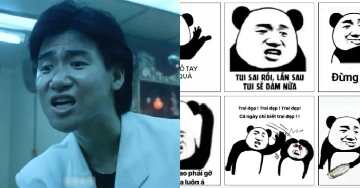 Tuyển tập 99+ hình gấu trúc meme cực hài, bá đạo và hóm hỉnh | Yody Tuyển tập 99+ hình gấu trúc meme cực hài, bá đạo và hóm hỉnh | Yody
