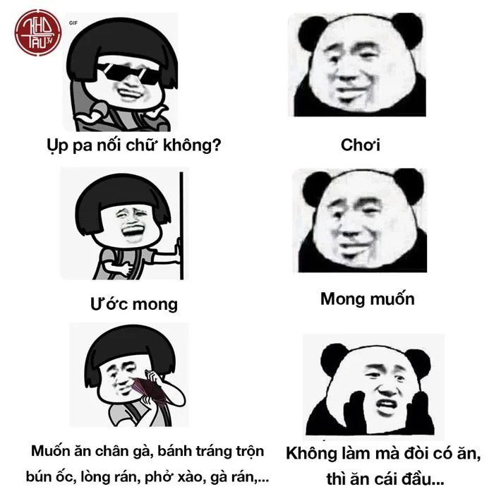 Trọn bộ top meme gấu trúc hài hước, lầy lội Trọn bộ top meme gấu trúc hài hước, lầy lội